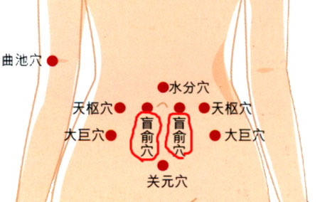 盲俞穴→治腹脹、便秘
