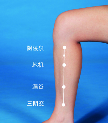 常揉陰陵泉等穴，讓你身體更強(qiáng)壯