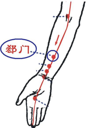 郄門穴→治心痛、心悸
