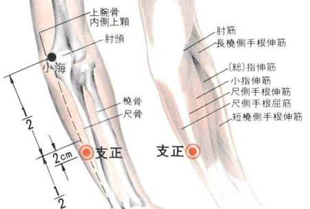支正穴→治頭痛、目眩