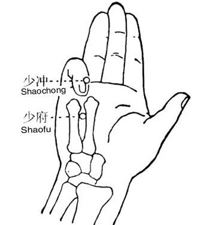 少?zèng)_穴→治心悸、心痛
