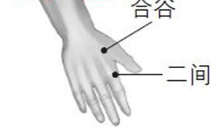 二間穴→治目昏、鼻衄