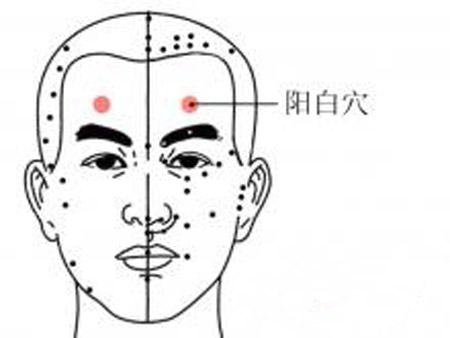 陽白穴→洽頭痛、目眩