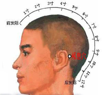 顱息穴→治頭痛、耳痛
