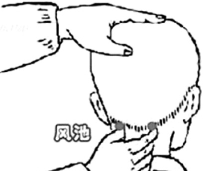 風(fēng)池穴→治頭痛、眩暈