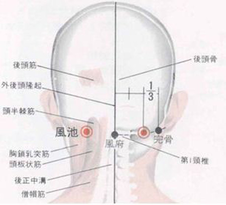 風(fēng)府穴→治頭面、五官疾病