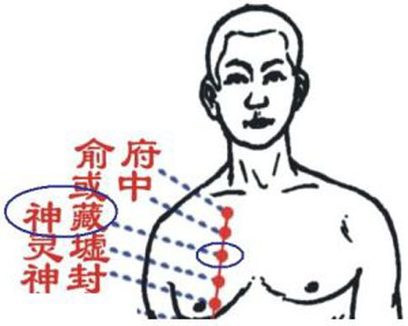 神藏穴→治咳嗽、胸痛