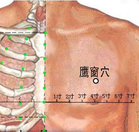 鷹窗穴→治咳嗽、氣喘