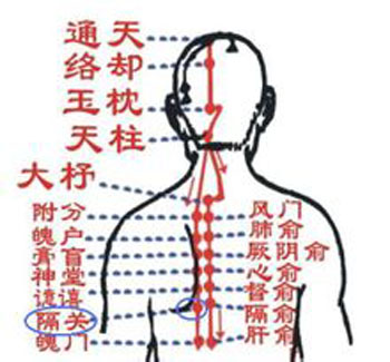 膈關(guān)穴→治胸悶、噯氣