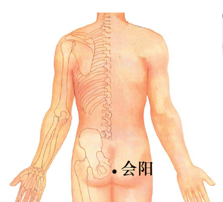 會陽穴→治泄瀉、便血