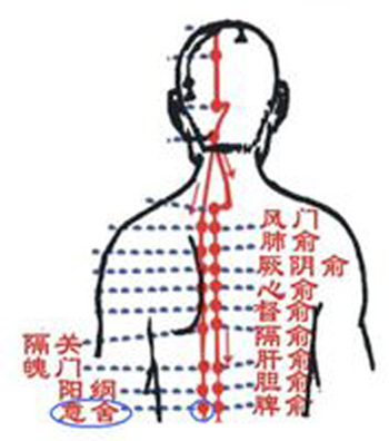 意舍穴→治腹脹、腸鳴