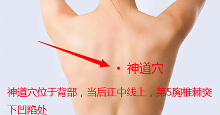 神道穴→治心痛、驚悸