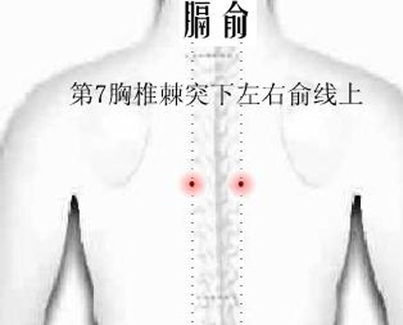 膈俞穴→治嘔吐、呃逆