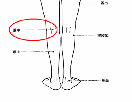 委中穴→治腰痛、腹痛。