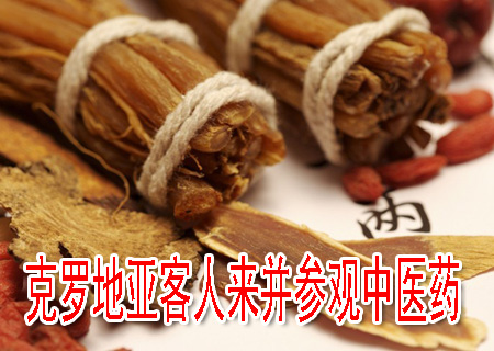 克羅地亞客人來(lái)并參觀中醫(yī)藥