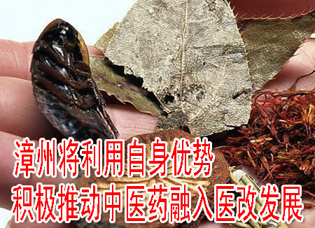 漳州將利用自身優(yōu)勢 積極推動(dòng)中醫(yī)藥融入醫(yī)改發(fā)展