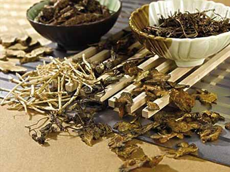 中醫(yī)藥條例落實初獲成效