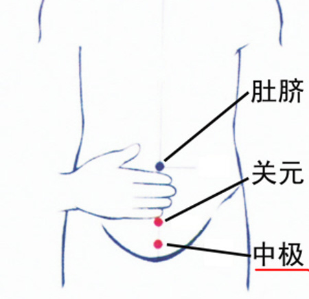 中極穴：補(bǔ)腎培元，調(diào)治陰挺、不孕