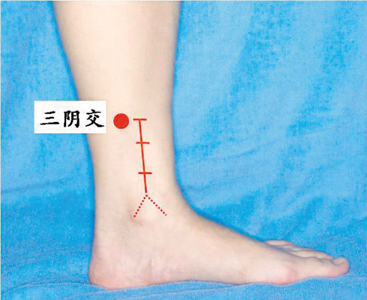 脾經(jīng)生輝，血海和三陰交是女人養(yǎng)生要穴
