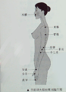敲敲打打大腸經(jīng)、胃經(jīng)，女人的“不老秘方”