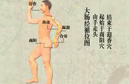 刮痧刮大腸經(jīng)，可以清理腸道、排出宿便