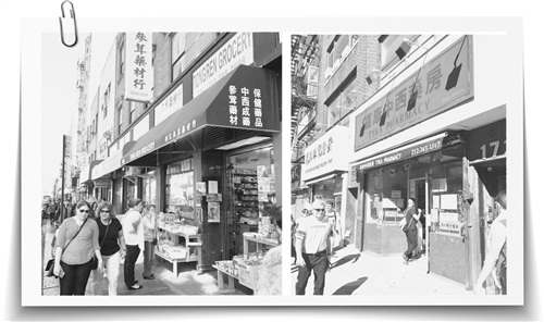 中醫(yī)藥國(guó)際化發(fā)展迎來新機(jī)遇