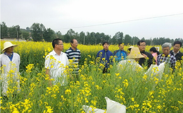 中國中醫(yī)科學院研發(fā)實驗服務(wù)基地建設(shè)項目獲驗收
