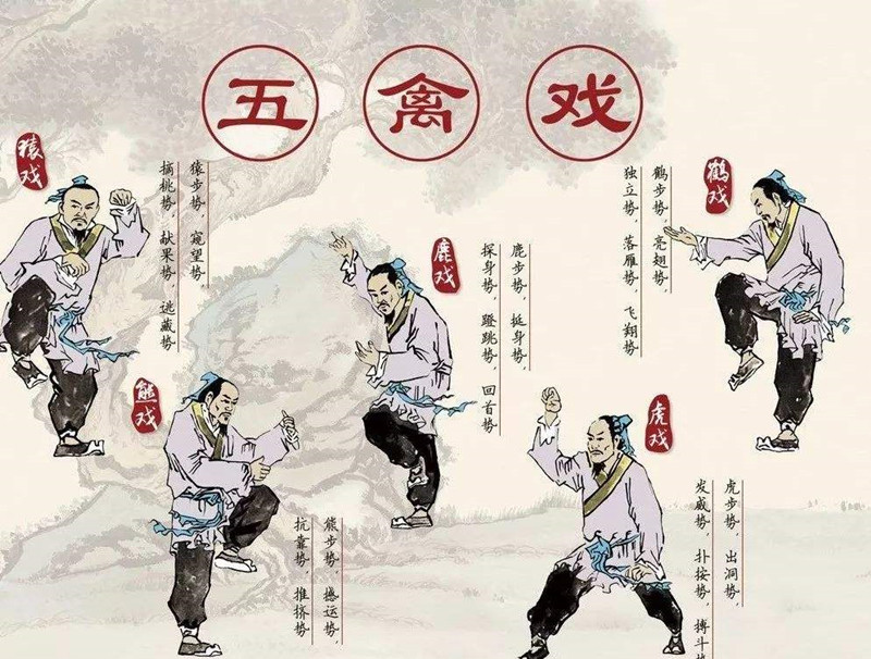 華佗，外科鼻祖，發(fā)明麻沸散、五禽戲