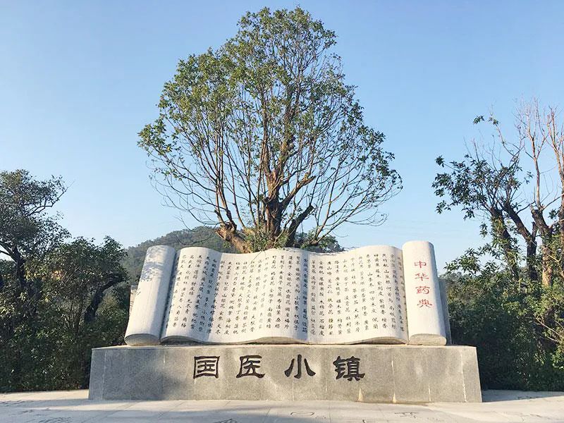 【防疫先鋒科學(xué)營(yíng)】爭(zhēng)當(dāng)抗疫小先鋒，探尋神奇中醫(yī)藥