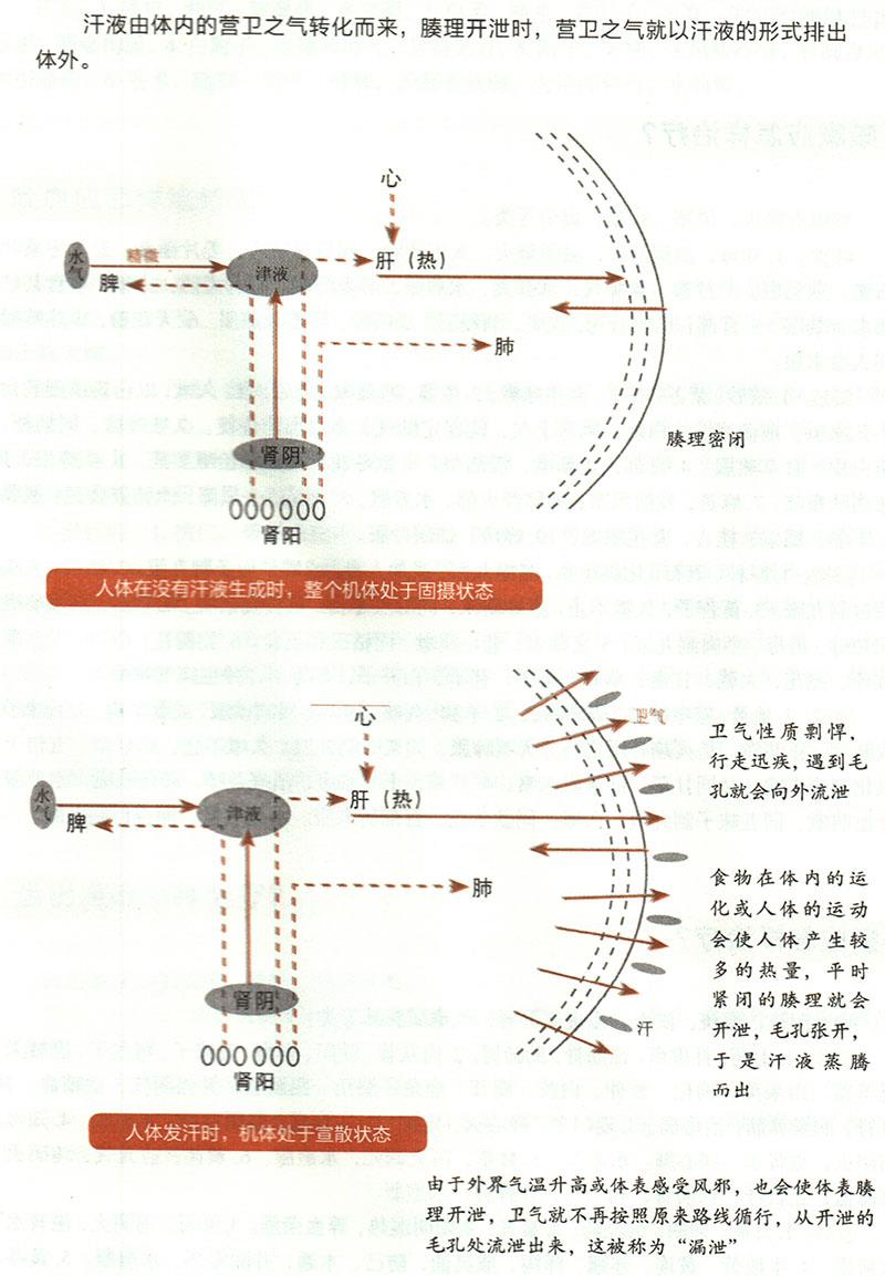 諸汗應(yīng)怎樣治療？