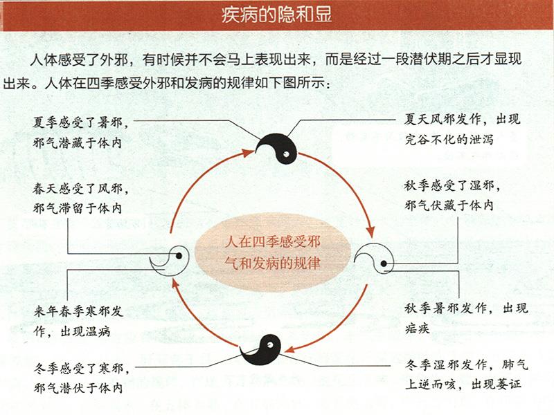 為什么要順應(yīng)四時陰陽來養(yǎng)生？