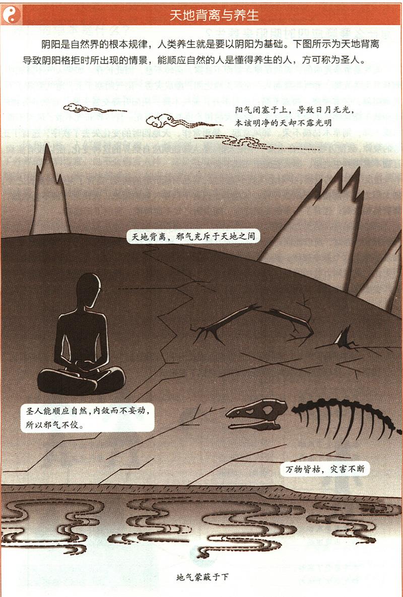 陽氣有什么重要性？