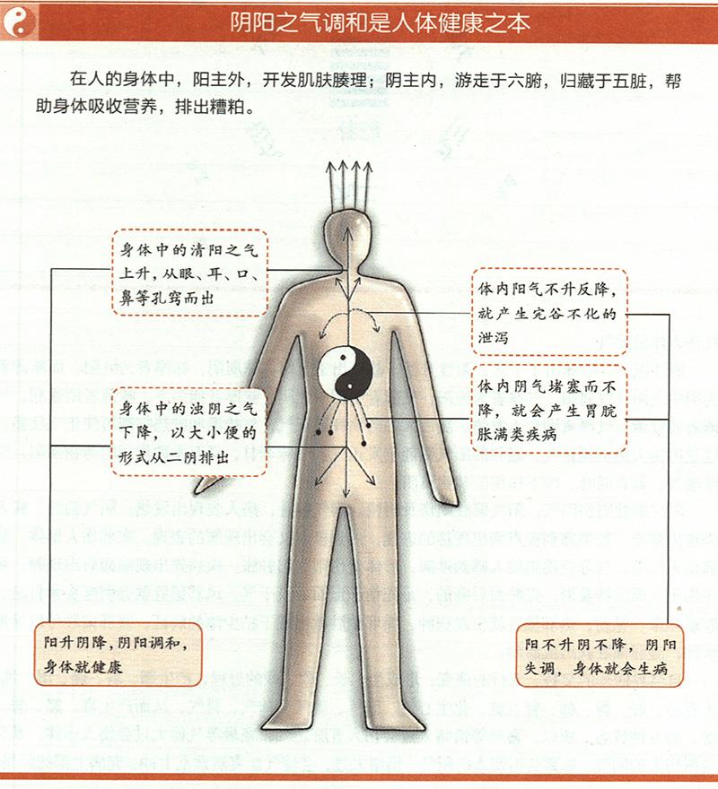 人為什么一定要陰陽調(diào)和才健康？