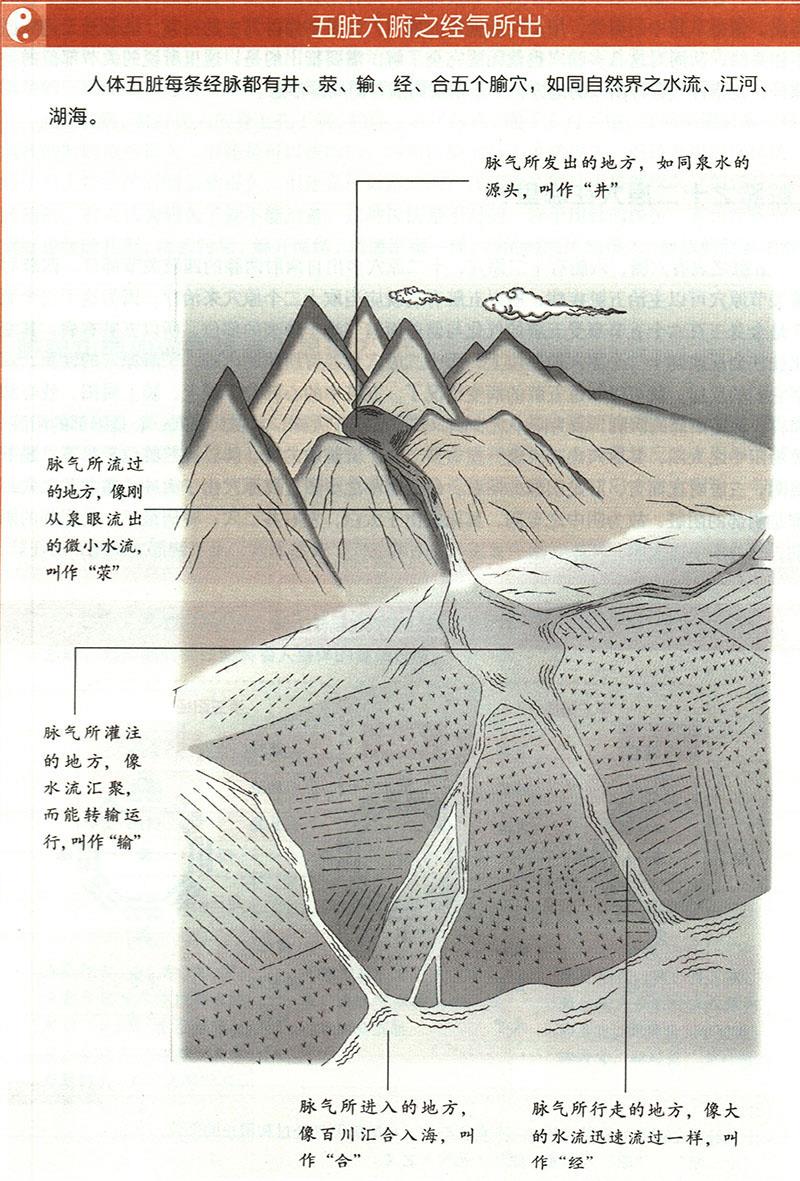 臟腑之經氣所出分別在哪里？