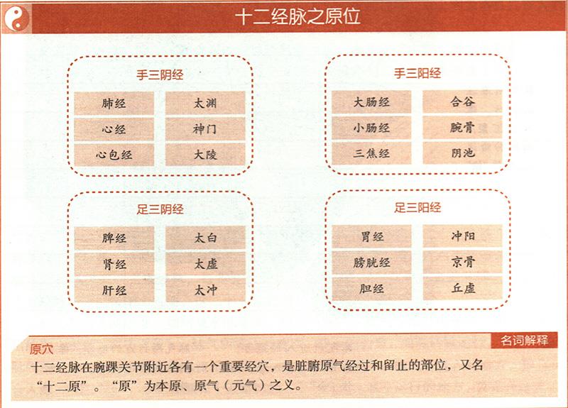 臟腑之十二原穴在哪里？