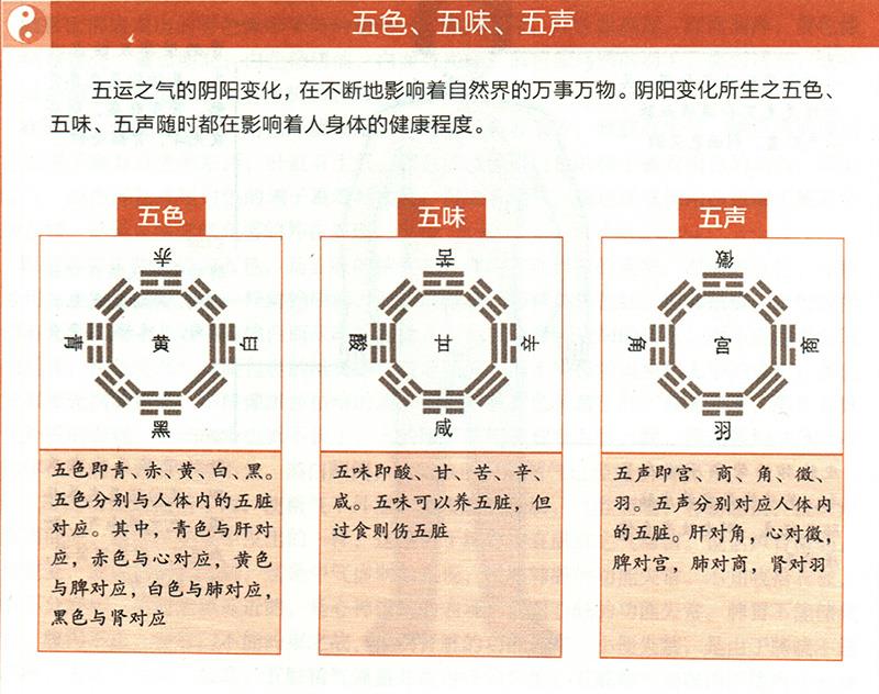 臟腑功能如何在體表上顯現(xiàn)？