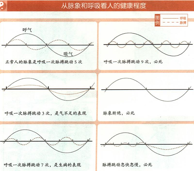 如何從脈象和呼吸推算健康？