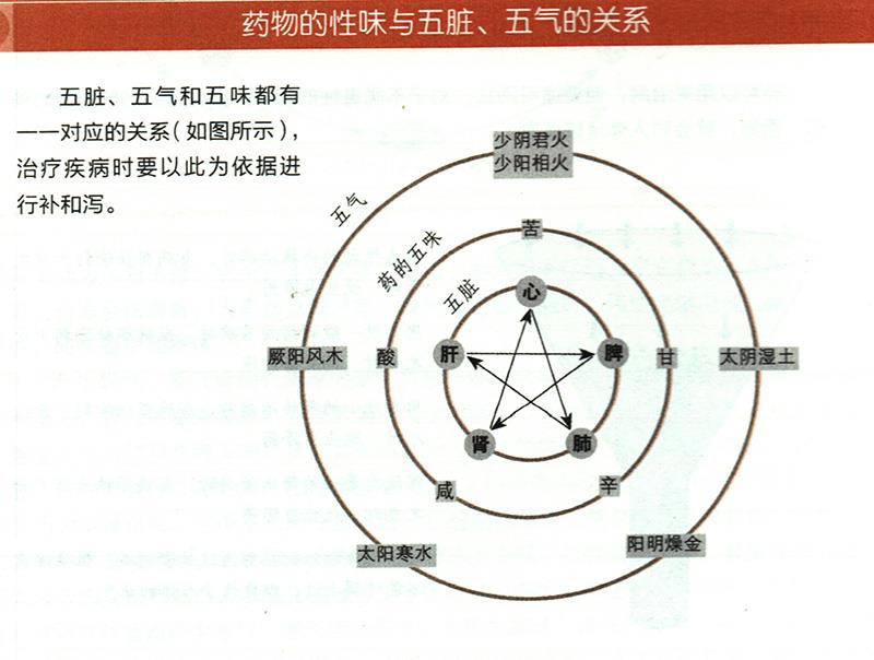 藥物的性味與五臟、五氣有什么關(guān)系？