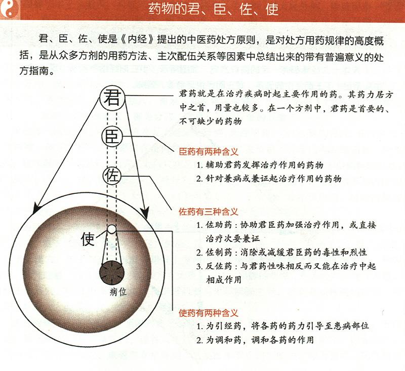 什么是藥物的君臣佐使？