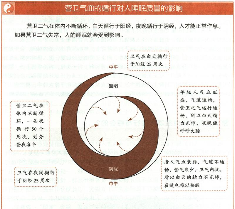 營衛(wèi)二氣在體內(nèi)是怎樣運行與相會的？