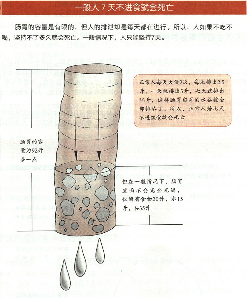 為什么7天不進(jìn)食就會死亡？
