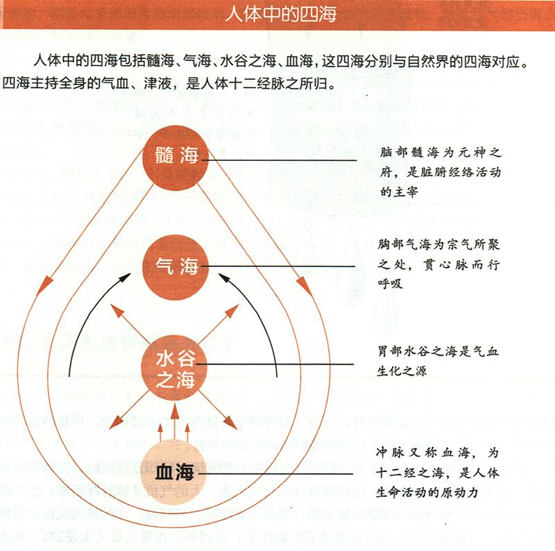 人體中的四海是怎樣的？