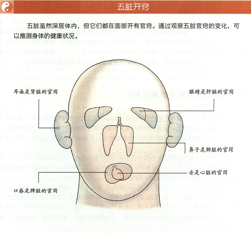 如何根據(jù)五官變化來診斷疾病？