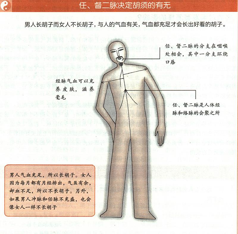 氣血對毛發(fā)有怎樣的影響？
