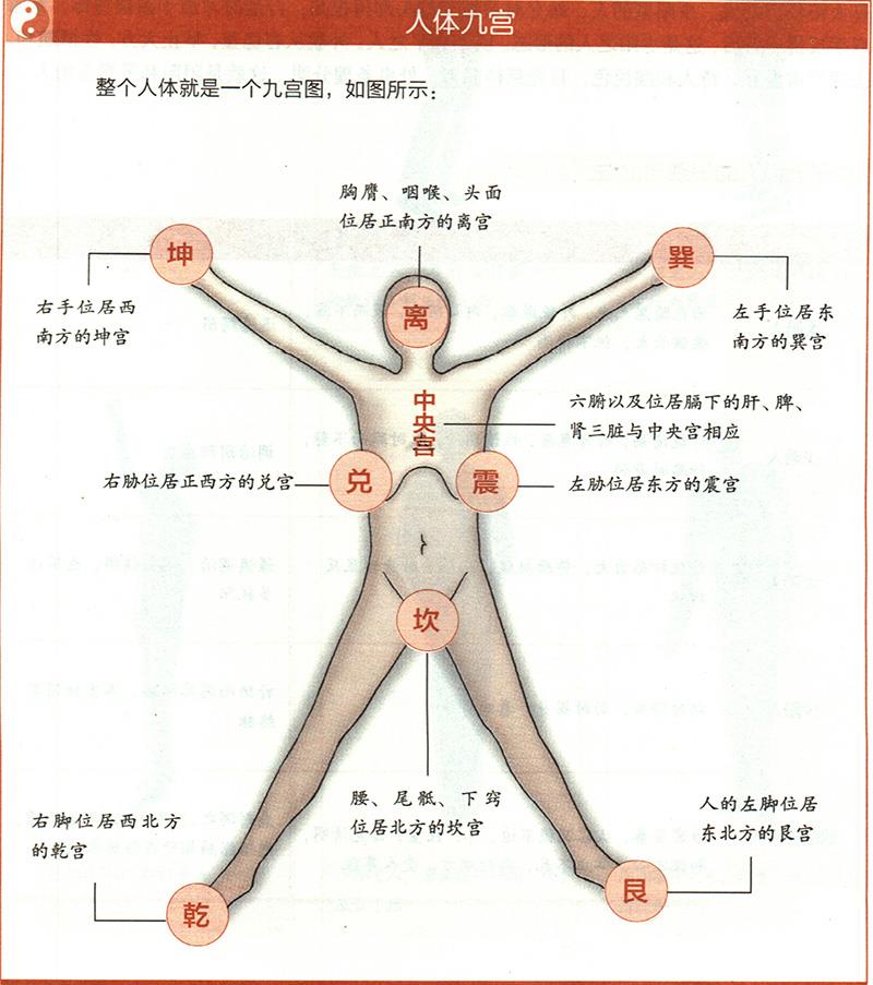 人體各部與九野是怎樣對(duì)應(yīng)的？