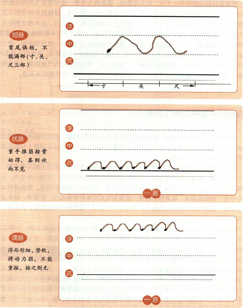 緩、急、小、大、滑、澀六種脈象所對應(yīng)的病狀情形是怎樣的？
