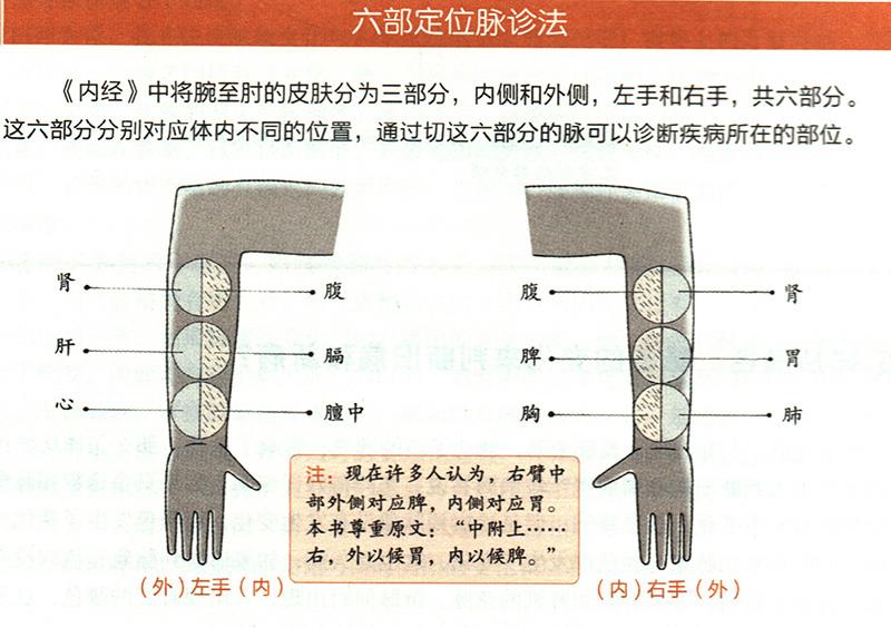 如何在尺膚上診斷疾病？
