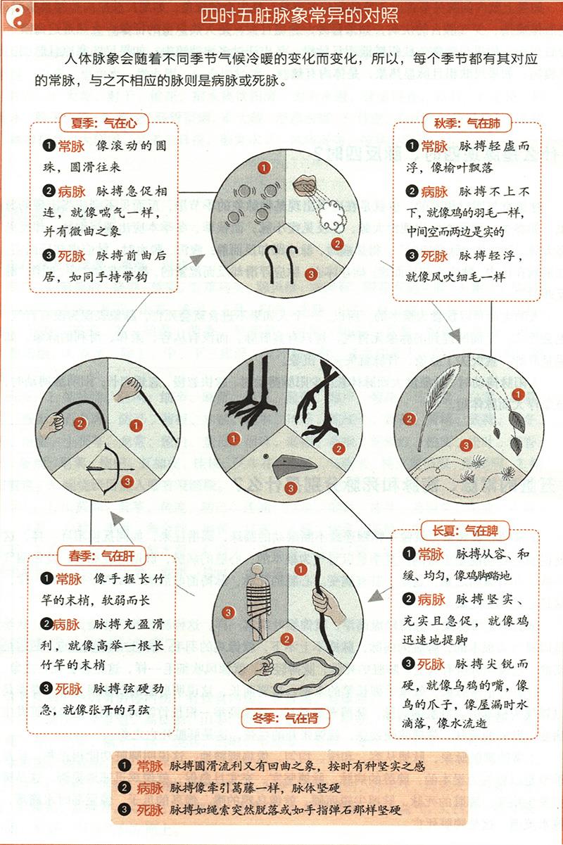 五臟的常脈、病脈和死脈分別是什么？