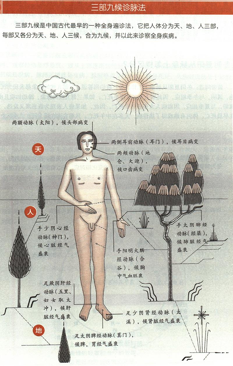 如何根據(jù)三部九候來診病？