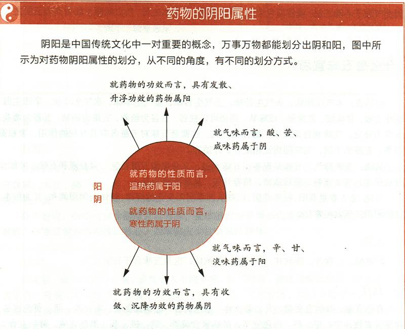 什么是氣味陰陽？